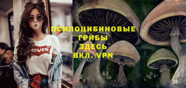героин Абаза