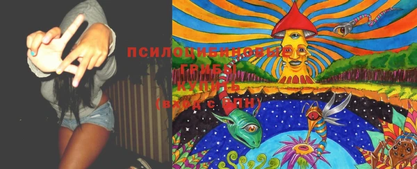 гашик Абдулино