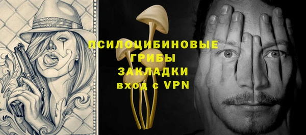 шишки Михайловск