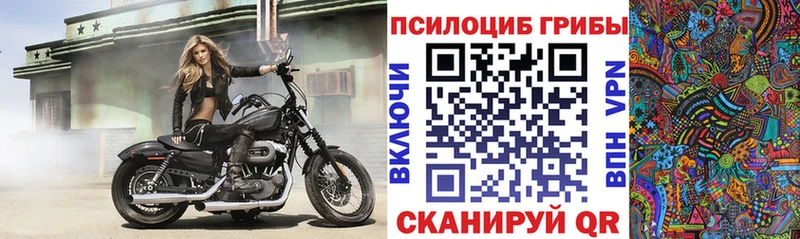 Псилоцибиновые грибы мухоморы  даркнет состав  Темрюк 